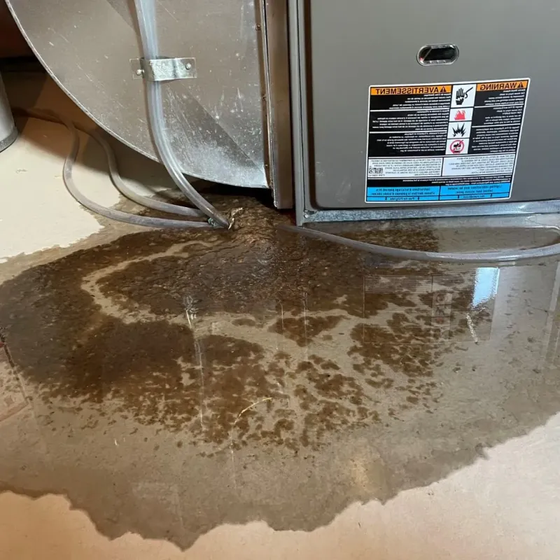 Pipe Burst and Leak Restoration in South Saint Paul, MN